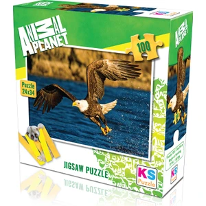 KS Games Animal Planet |  Eagle At Hunting
