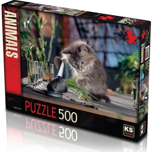 KS Games Naughty Cat