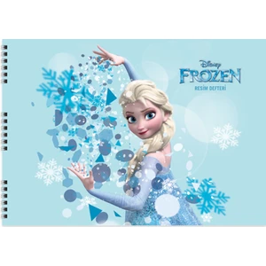Frozen 25*35 15 Yp.Resim Defteri