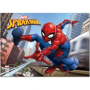 Spider 35*50 15 Yp.Resim Defteri