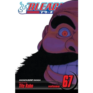 Viz Media Bleach 67  - Tite Kubo