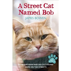A Street Cat Named Bob  - James Bowen