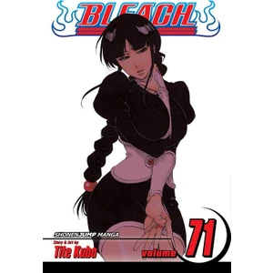 Viz Media Bleach 71 - Tite Kubo