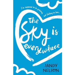 The Sky Is Everywhere  - Jandy Nelson