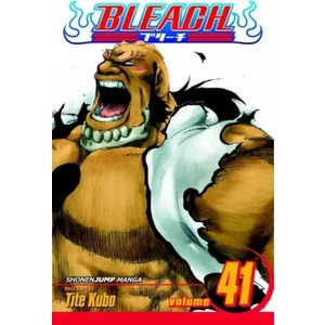 Viz Media Bleach 41  - Tite Kubo