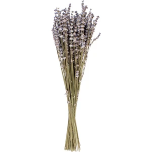Mr Design Kuru Çiçek Lavanta Demet 40 cm PNR-45958