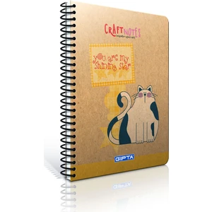 Craft Spiralli Sert Kapak Defter A6-100 Yp.Çizgili (Stand)