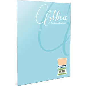 Mıca Tel Dikişli Plastik Kapak Defter A5-80 Yp.Çizgisiz