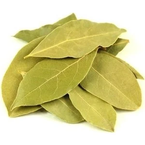Defne Yaprağı 100 gr