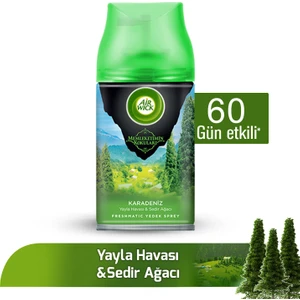 Air Wick Karadeniz Oda Kokusu Yedek Şişe 250 ml