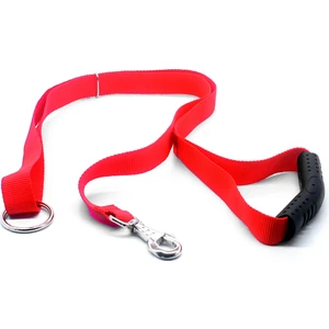Köpek Gezdirme ve Eğitim Tasması