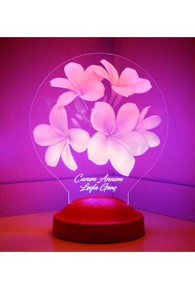 Sevgi Lambası Anneler Günü Hediyesi Plumeria Çiçeği LED Foto Lamba