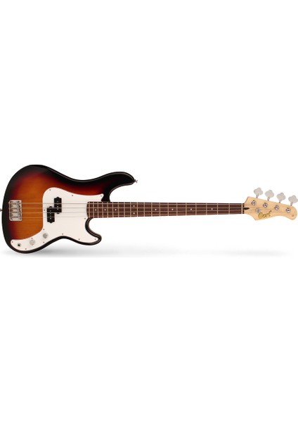 Bas Gitar