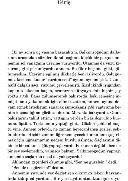 Öksüz Ağaçların Çobanı - İsmail Güzelsoy