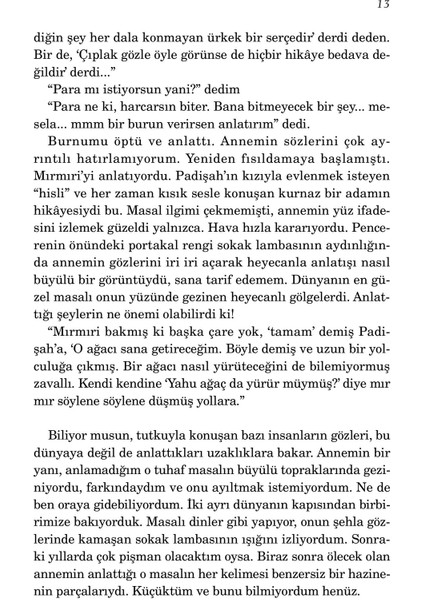 Öksüz Ağaçların Çobanı - İsmail Güzelsoy