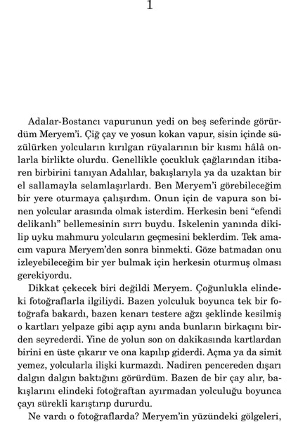 Öksüz Ağaçların Çobanı - İsmail Güzelsoy