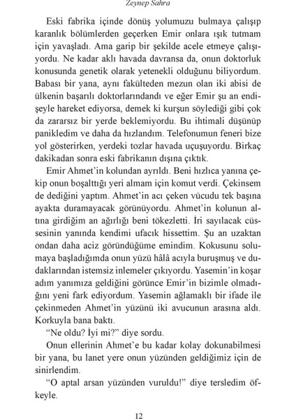Ayçöreği – Elmalı Turta Set - Ciltli - Zeynep Sahra