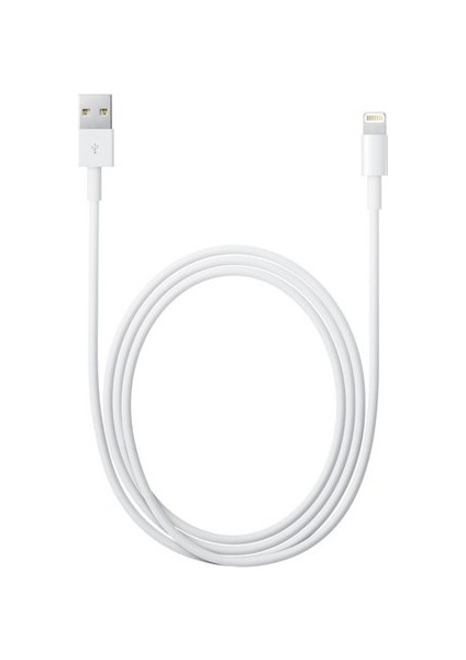 Apple Lightning Şarj-Data Kablosu (1m)