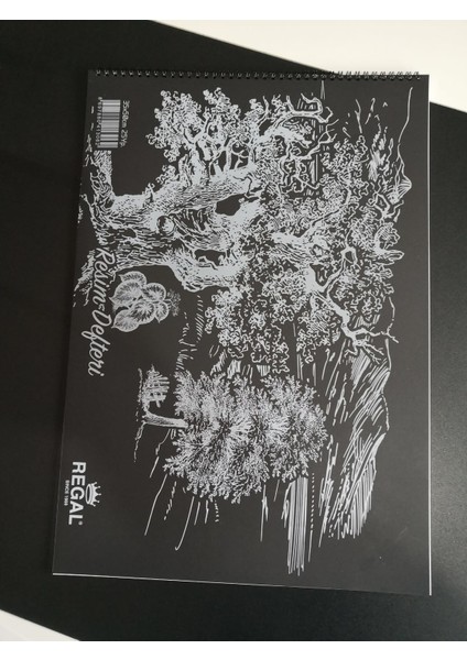 Plastik Kapak Spralli 35X50 Resim Defteri-25 Yp