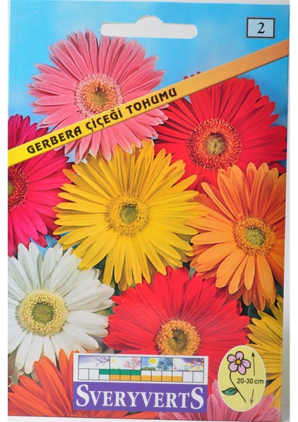 Gerbera Çiçeği Tohumu