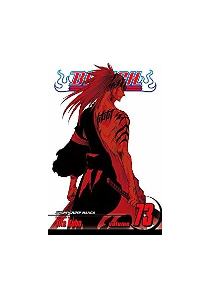 Bleach 73 - Tite Kubo