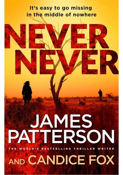 Never Never (Harriet Blue 1) - James Patterson