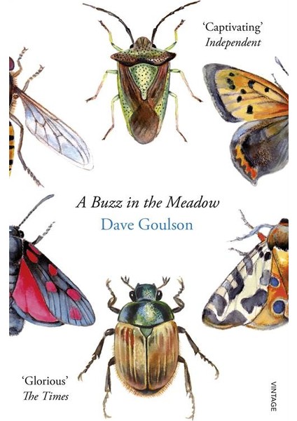 A Buzz in the Meadow - Dave Goulson