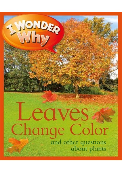 I Wonder Why The Leaves Change Color - Andrew Charman