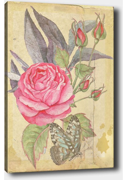 Çiçek Kanvas Tablo 50 x 70 cm