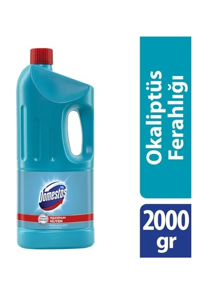 Okaliptüs Ferahlığı 2000 ml