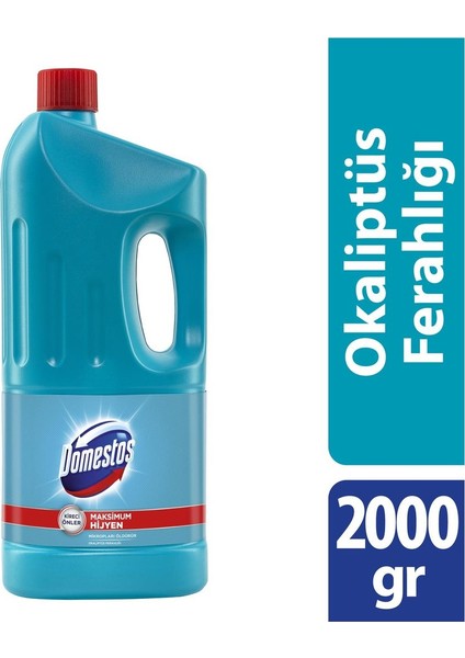 Okaliptüs Ferahlığı 2000 ml