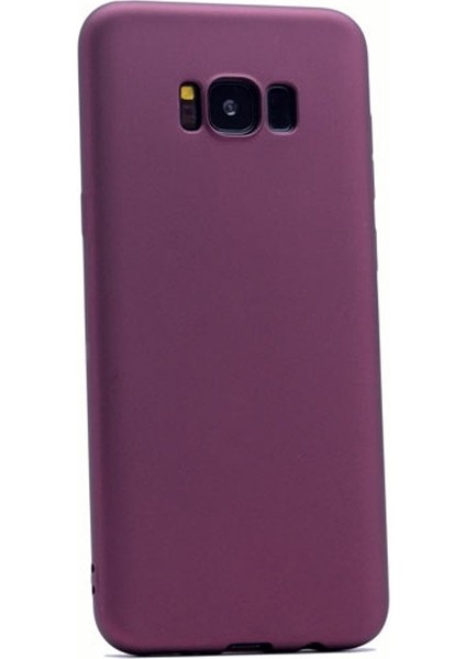 Samsung Galaxy S8 Kılıf Premier Silikon Kılıf+Full Kapatan Cam Mürdüm