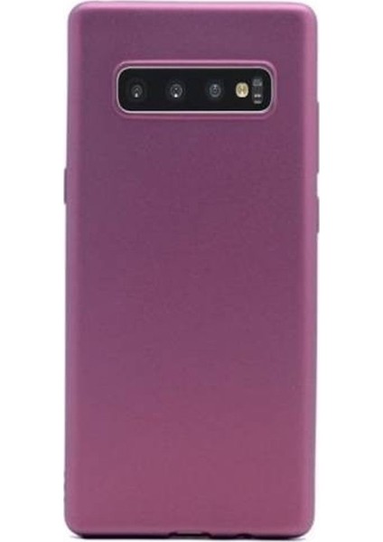 Samsung Galaxy S10 Kılıf Premier Silikon Esnek Koruma+Nano Glass Mürdüm