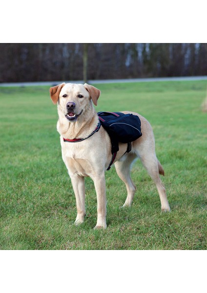Köpek Sırt Çantası L-Xl 31 X 17 Cm Siyah