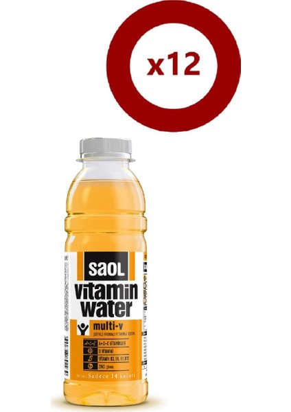 Saol Multi V Vitaminli Su 12 x 500 ml