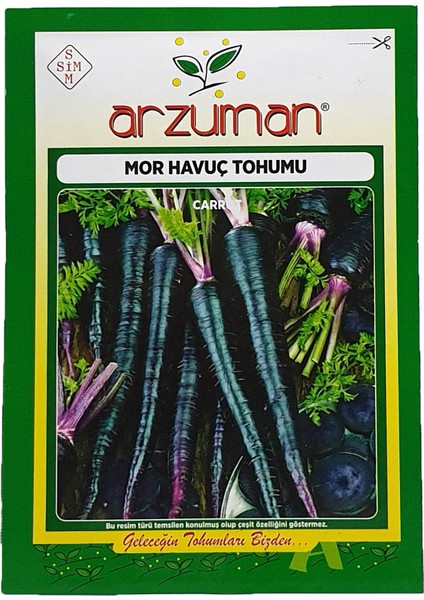 Mor Havuç Tohumu 10 g