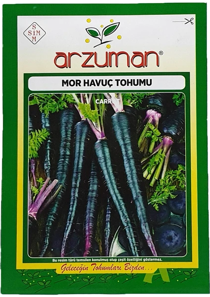 Mor Havuç Tohumu 10 g