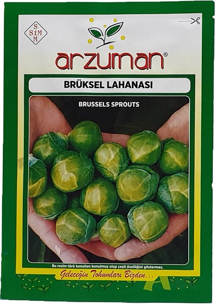 Brüksel Lahanası 200'lü