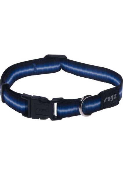 Küçük Irk Köpek Boyun Tasması Mavi Small 11 Mm 20-31 Cm