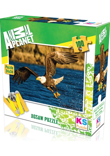 KS Games Animal Planet |  Eagle At Hunting