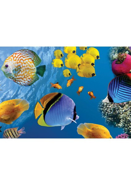 Animal Planet | Underwater