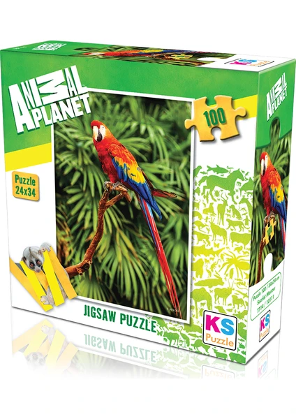 KS Games Animal Planet |  Scarlet Macaw