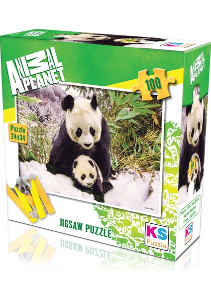 Animal Planet | Panda Mother