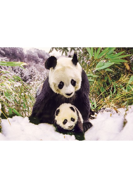 Animal Planet | Panda Mother fiyatları