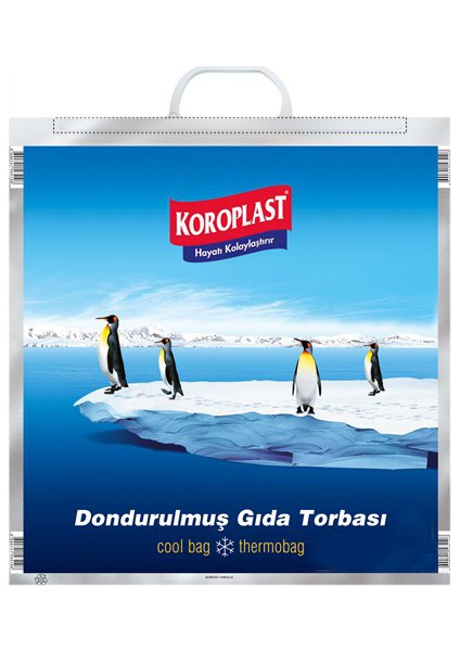 Dondurulmuş Gıda Torbası 1 Adet 50x52 cm