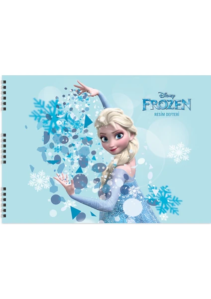 Frozen 25*35 15 Yp.Resim Defteri