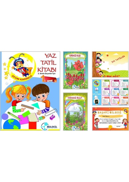 Molekül 1. Sınıf Yaz Tatil Seti 6 Parça