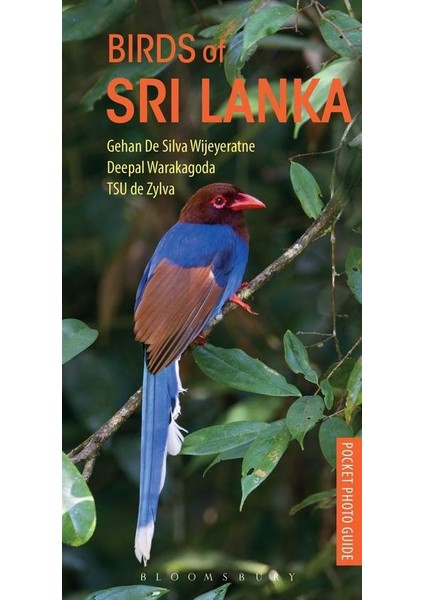 Birds Of Sri Lanka - Gehan de Silva Wijeyeratne