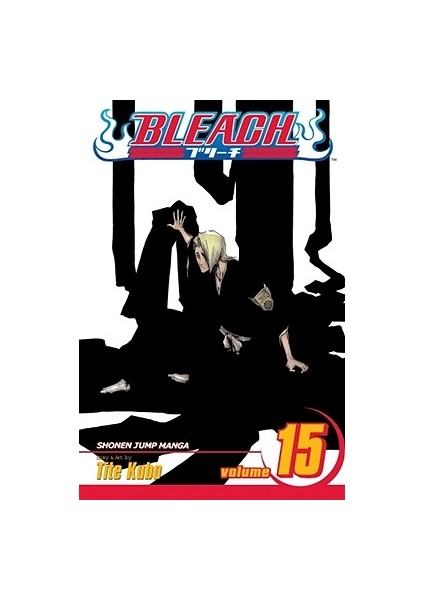 Bleach 15 - Tite Kubo