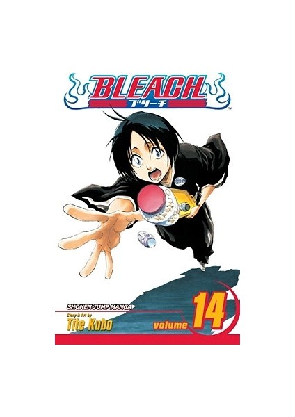 Bleach 14 - Tite Kubo